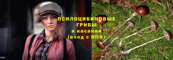 ECSTASY Лиски