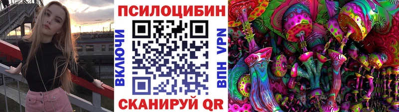 hydra   Кудымкар  Галлюциногенные грибы Psilocybe 
